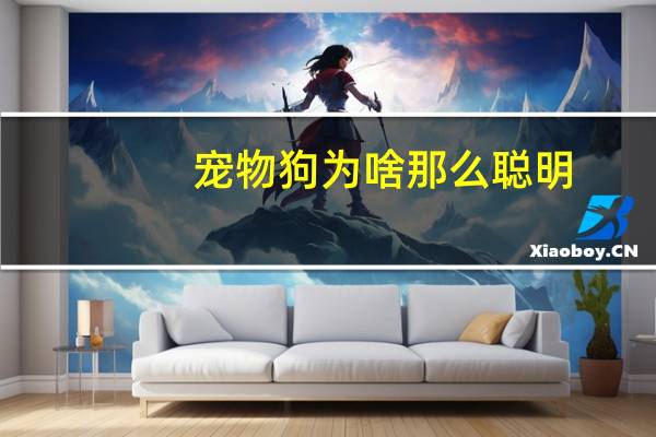 宠物狗为啥那么聪明