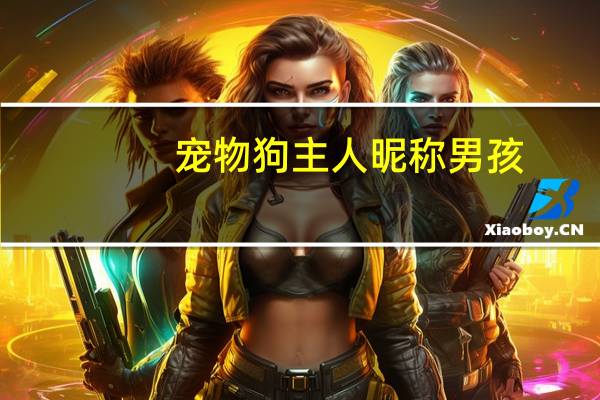 宠物狗主人昵称男孩