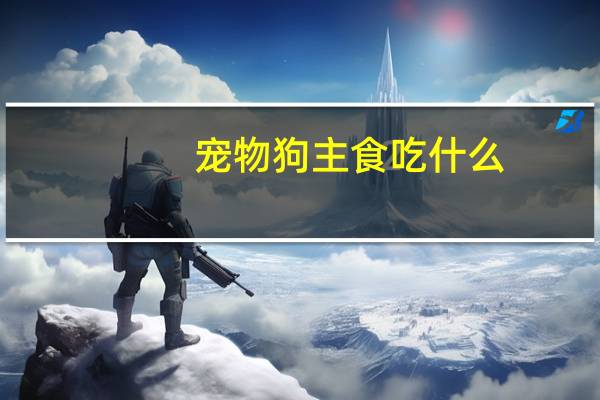 宠物狗主食吃什么
