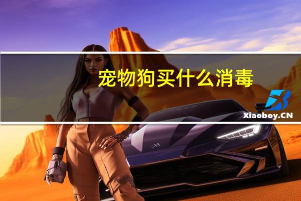 宠物狗买什么消毒