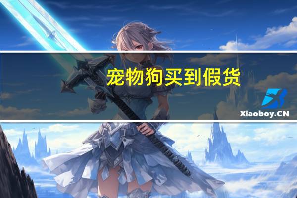 宠物狗买到假货