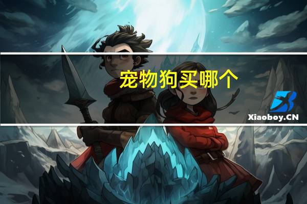 宠物狗买哪个