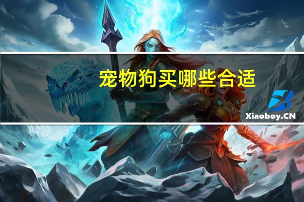 宠物狗买哪些合适