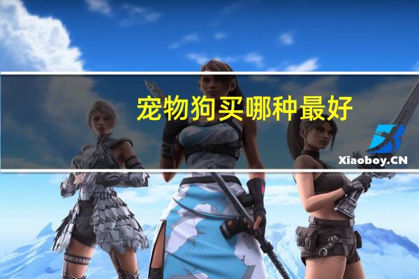 宠物狗买哪种最好