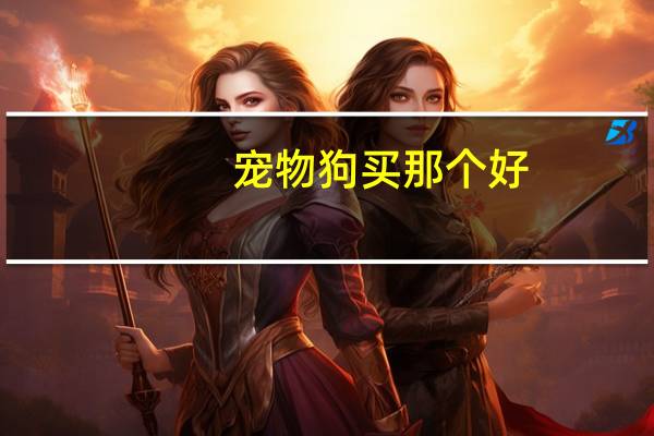 宠物狗买那个好