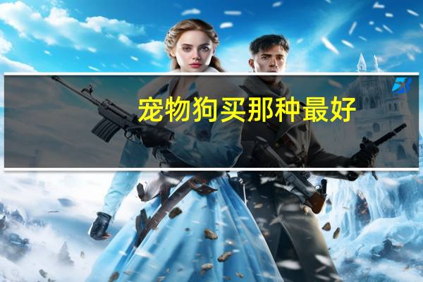 宠物狗买那种最好