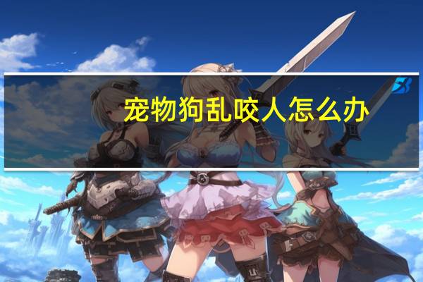 宠物狗乱咬人怎么办