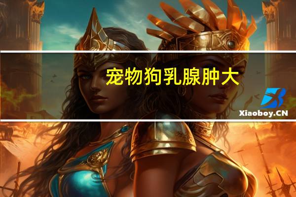 宠物狗乳腺肿大