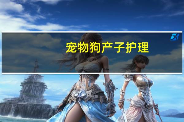 宠物狗产子护理