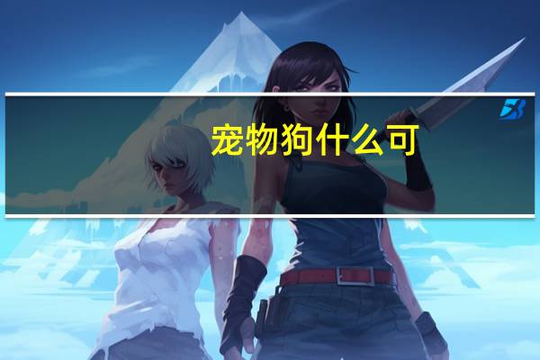 宠物狗什么可