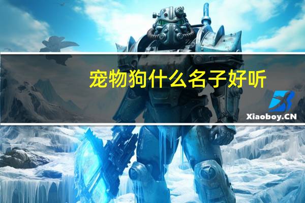 宠物狗什么名子好听