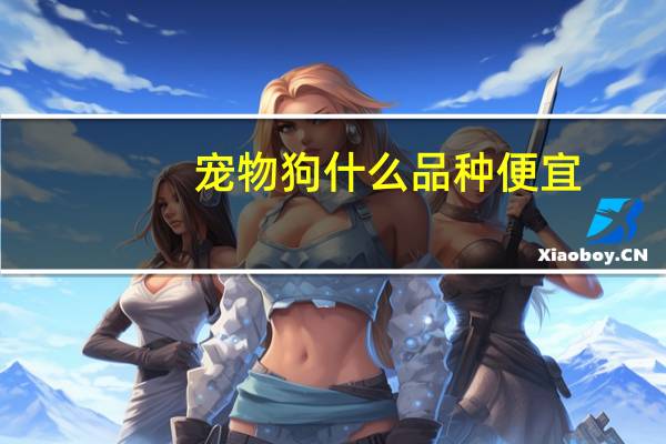 宠物狗什么品种便宜