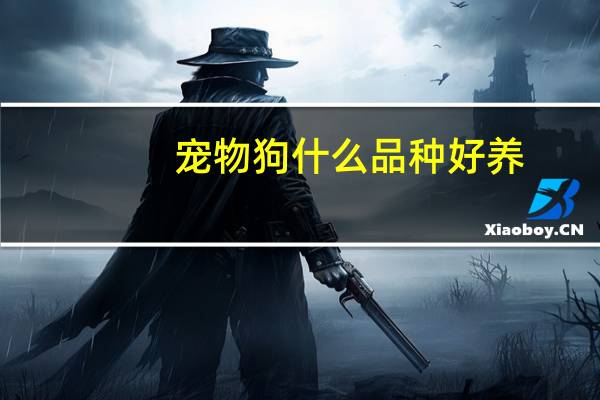 宠物狗什么品种好养