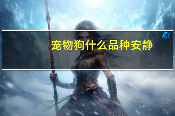 宠物狗什么品种安静