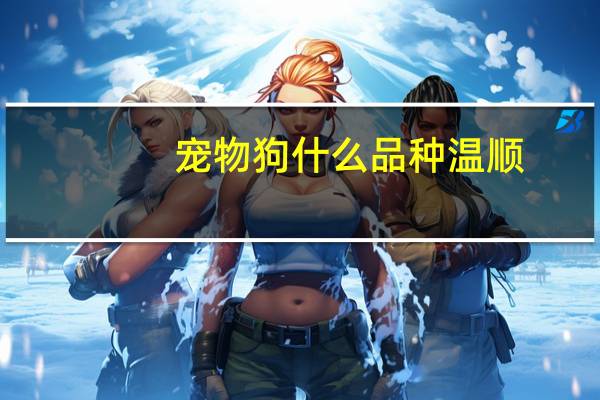 宠物狗什么品种温顺
