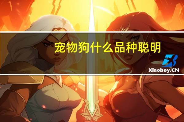 宠物狗什么品种聪明