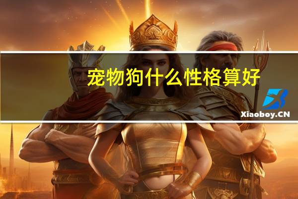 宠物狗什么性格算好