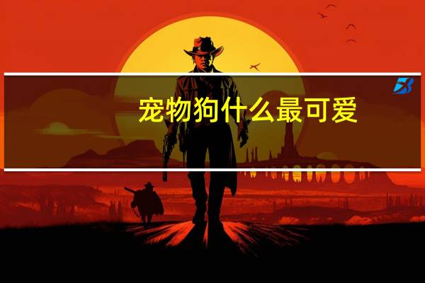 宠物狗什么最可爱