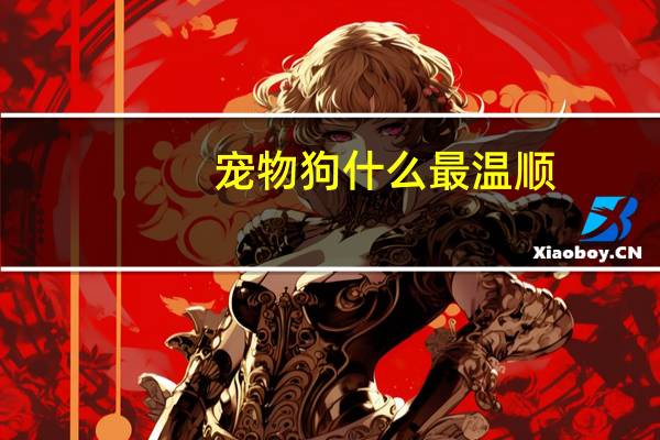 宠物狗什么最温顺
