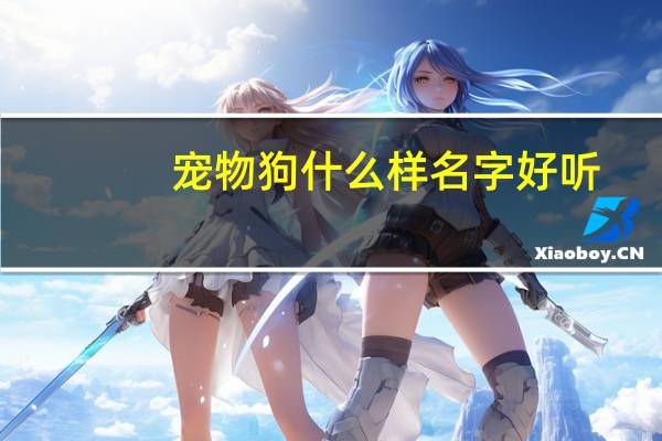 宠物狗什么样名字好听