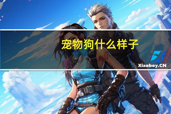 宠物狗什么样子