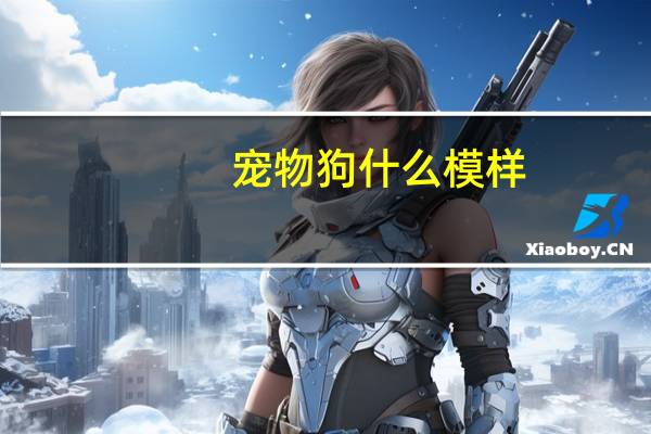 宠物狗什么模样