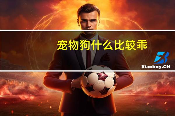 宠物狗什么比较乖