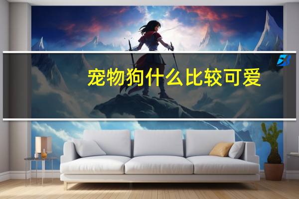 宠物狗什么比较可爱