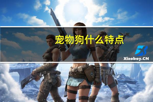 宠物狗什么特点