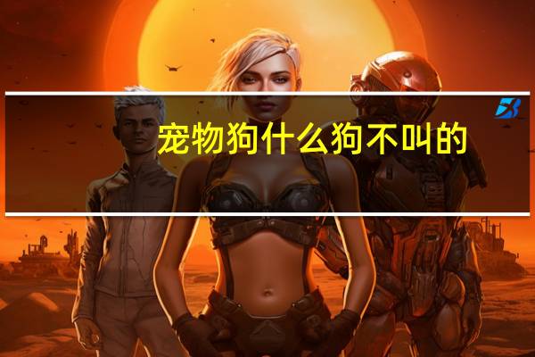 宠物狗什么狗不叫的