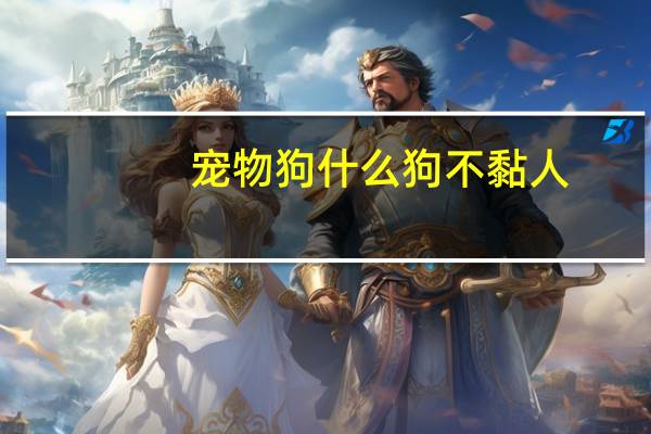 宠物狗什么狗不黏人