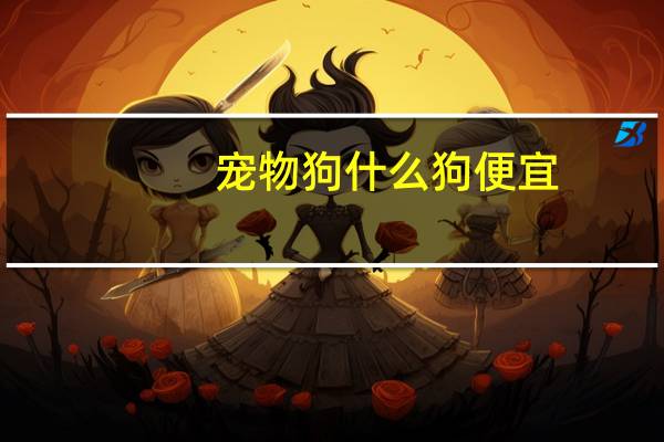 宠物狗什么狗便宜