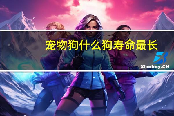 宠物狗什么狗寿命最长