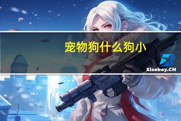 宠物狗什么狗小