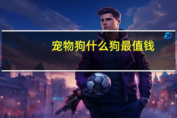 宠物狗什么狗最值钱