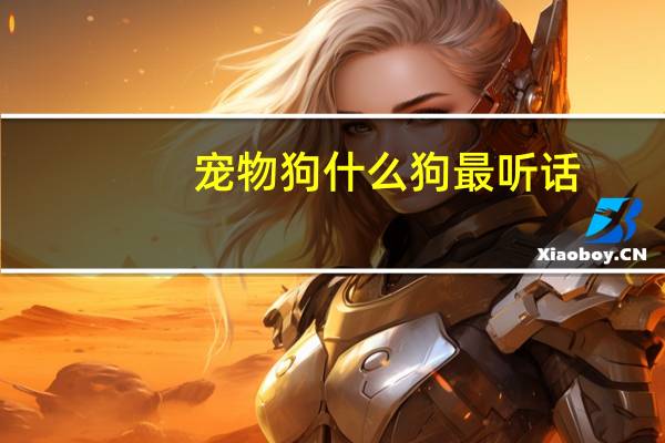 宠物狗什么狗最听话