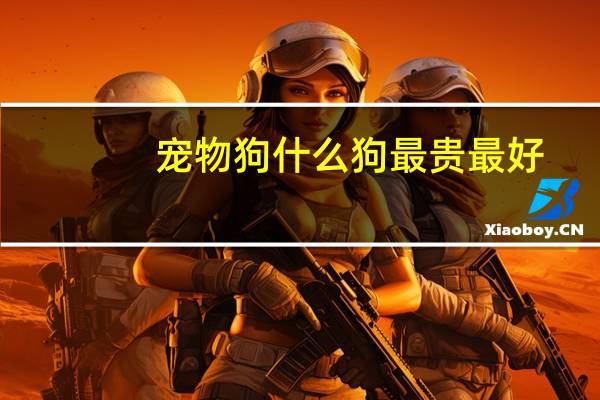 宠物狗什么狗最贵最好