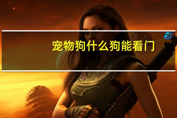 宠物狗什么狗能看门