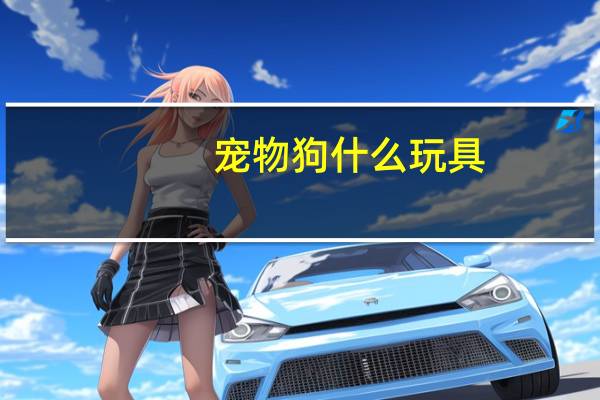 宠物狗什么玩具