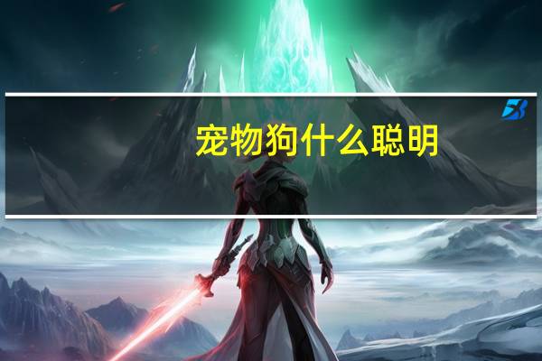 宠物狗什么聪明