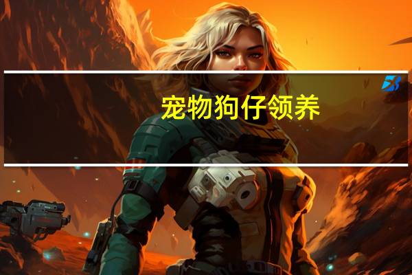宠物狗仔领养