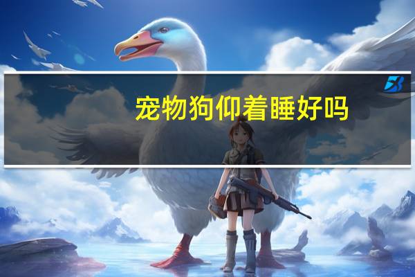 宠物狗仰着睡好吗