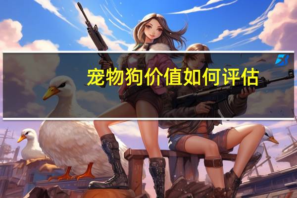 宠物狗价值如何评估