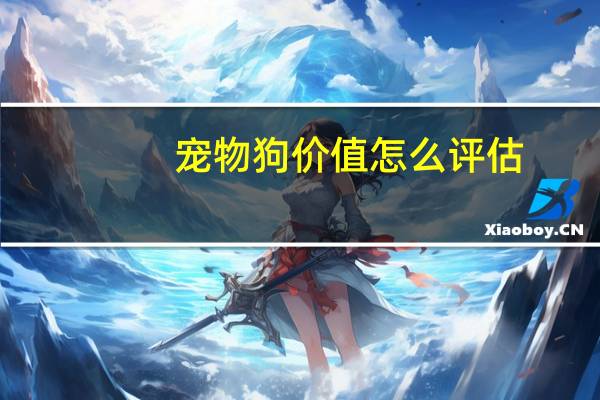 宠物狗价值怎么评估