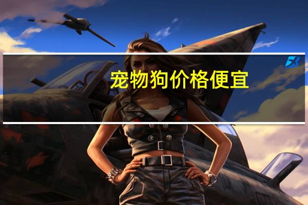 宠物狗价格便宜