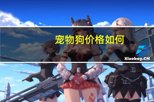 宠物狗价格如何