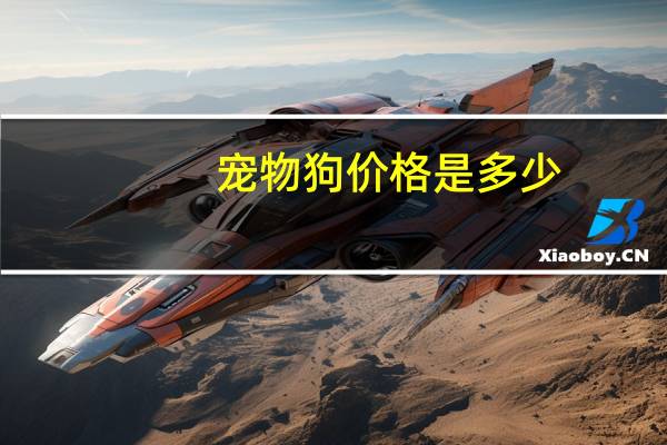 宠物狗价格是多少