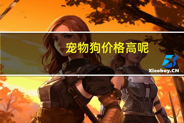 宠物狗价格高呢
