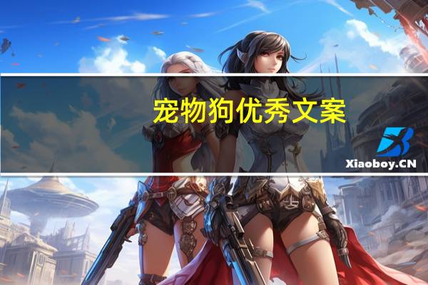 宠物狗优秀文案