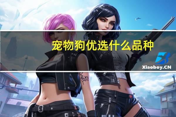 宠物狗优选什么品种